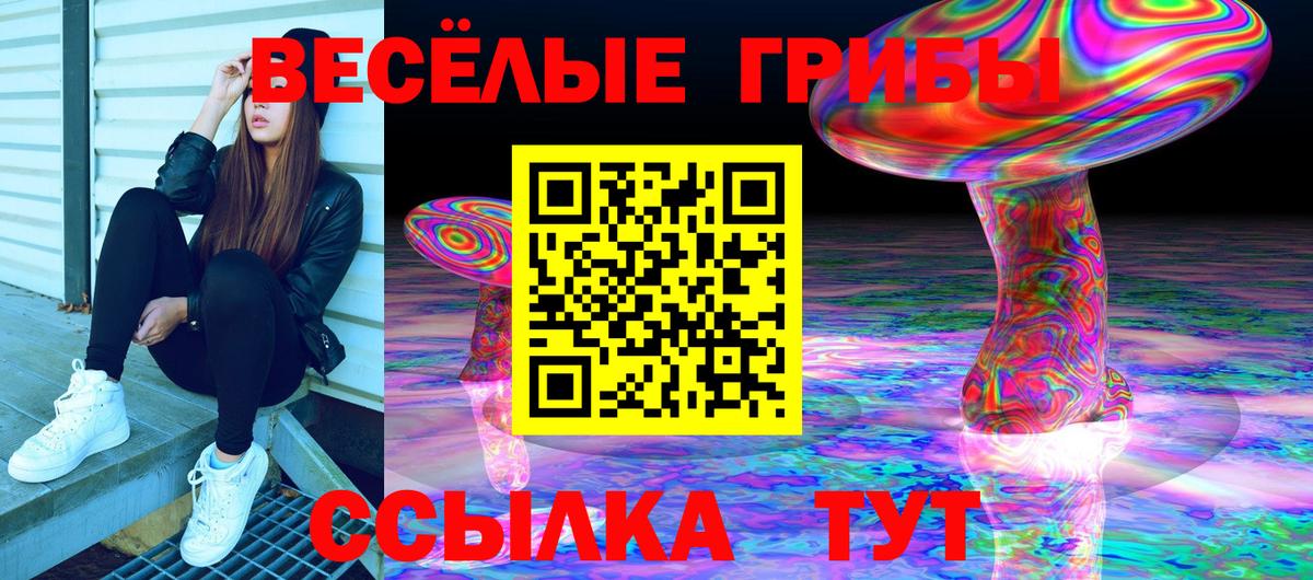 Галлюциногенные грибы GOLDEN TEACHER Куйбышев