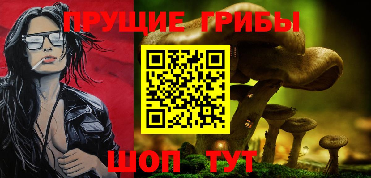 купить   Вход с VPN  Куйбышев  Псилоцибиновые грибы Psilocybe  Псилоцибиновые грибы Cubensis 